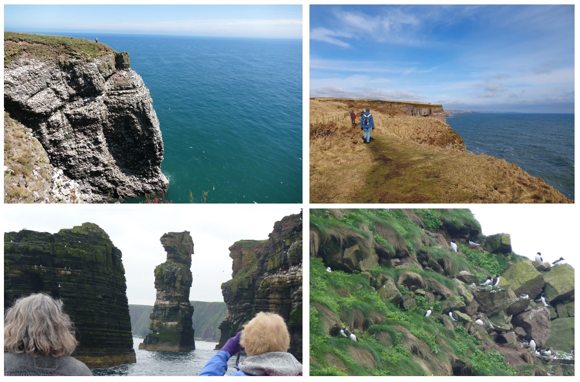 A collage of different views of the ocean

Description automatically generated